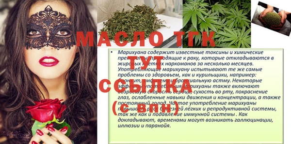 индика Богородицк