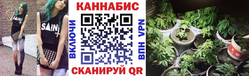 Конопля индика  Купить где  Солнечногорск 